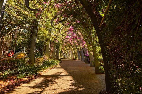 Brisbane Scavenger Hunt: Brisbane's South Bank! - Gold Coast Attractions 3