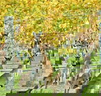 Margaret River Indulge and Discover Day Tour