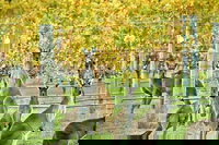 Margaret River Indulge and Discover Day Tour