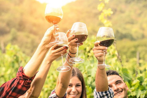 Adelaide Hills Day Tour. Winery Cellar Doors - Gold Coast Attractions 0