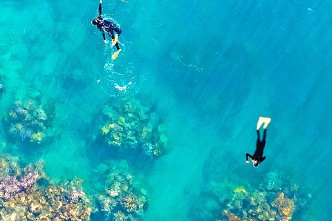 Fly & Cruise - Seaplane Package - Gold Coast Attractions 1