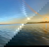 Aquascene Magnetic Island Discovery Tour - Gold Coast Attractions