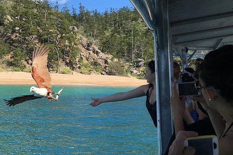 Aquascene Magnetic Island Discovery Tour - Gold Coast Attractions 2