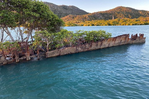 Aquascene Magnetic Island Discovery Tour - Gold Coast Attractions 3