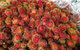Rusty's Market Foodlovers Tour - thumb 1