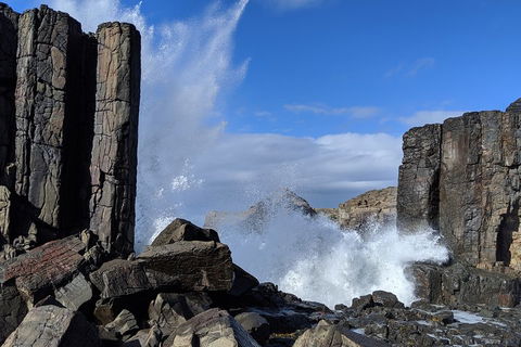 Erupting Blowholes And Ancient Rainforests With 'Personalised Sydney Tours' - Gold Coast Attractions 0