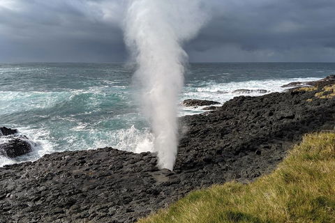 Erupting Blowholes And Ancient Rainforests With 'Personalised Sydney Tours' - Gold Coast Attractions 1