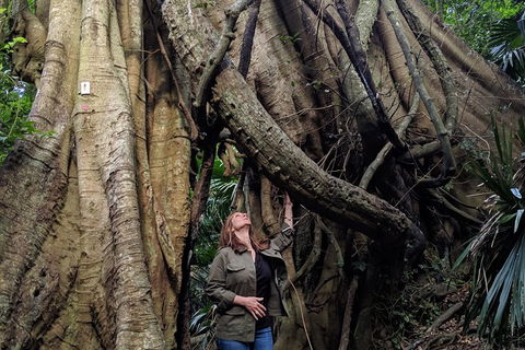 Erupting Blowholes And Ancient Rainforests With 'Personalised Sydney Tours' - Gold Coast Attractions 4