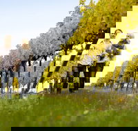 2-Day Private Daylesford  Macedon Ranges Gourmet Food Trail Tour from Melbourne - Gold Coast Attractions