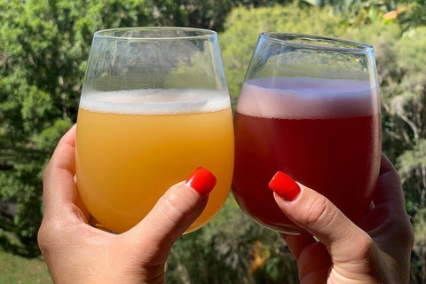Hipster Sipster Brewery And Distillery Tour - Gold Coast Attractions 3