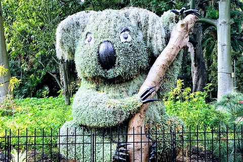 Discover Sydney - Botanic - Gold Coast Attractions 1