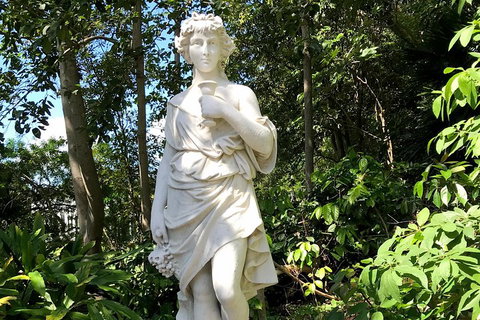 Discover Sydney - Botanic - Gold Coast Attractions 2