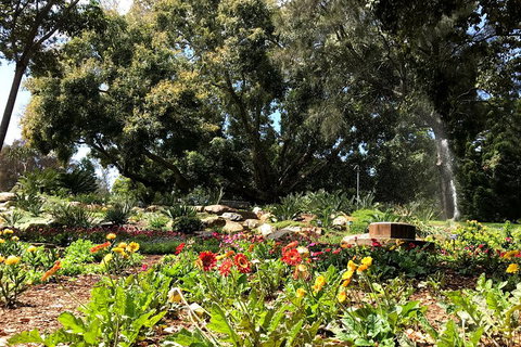Discover Sydney - Botanic - Gold Coast Attractions 3