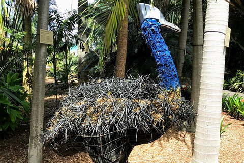 Discover Sydney - Botanic - Gold Coast Attractions 5