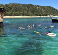 All Inclusive Dolphin and Tangalooma Wrecks Cruise - Gold Coast Attractions