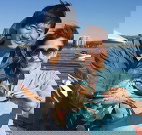 Gold Coast City Sights Tour from Gold Coast - Gold Coast Attractions