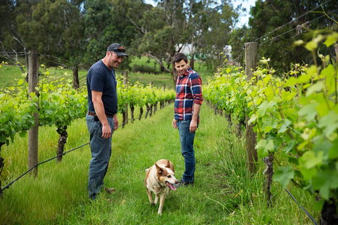 LGBT+ Friendly Full Day Yarra Valley & Dandenong Ranges Private Tour - Gold Coast Attractions 4