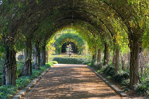LGBT+ Friendly Full Day Yarra Valley & Dandenong Ranges Private Tour - Gold Coast Attractions 5