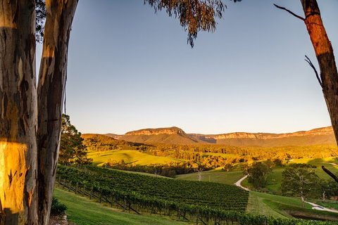 Taste Of The Blue Mountains - Lunch & Wine Tasting, Beer, Cider & Gin Tasting - Gold Coast Attractions 1
