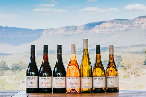 Taste Of The Blue Mountains - Lunch & Wine Tasting, Beer, Cider & Gin Tasting - Gold Coast Attractions 3
