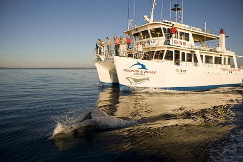 Jervis Bay Dolphin Watch Cruise - Gold Coast Attractions 3