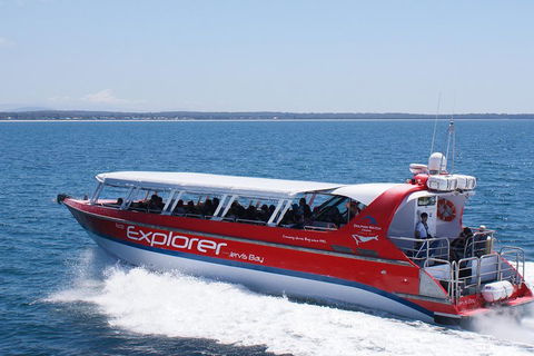 Whale Watching Jervis Bay - Gold Coast Attractions 1