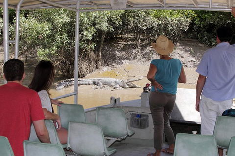 Whitsunday Crocodile Safari Including Lunch - Gold Coast Attractions 4