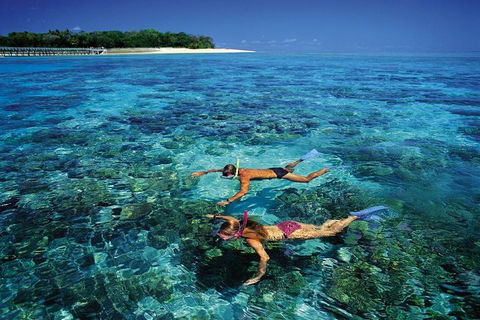 Green Island Day Trip From Cairns - Gold Coast Attractions 5