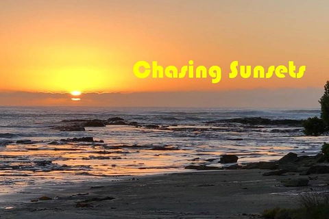 Triumph Street Scrambler 900cc - Gold Coast Attractions 2