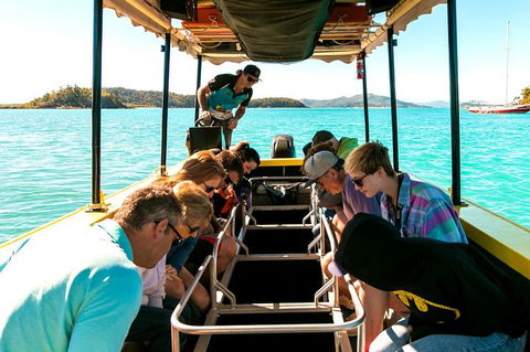 Airlie Beach Glass Bottom Boat Tour - Gold Coast Attractions 1