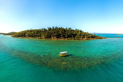 Airlie Beach Glass Bottom Boat Tour - Gold Coast Attractions 3