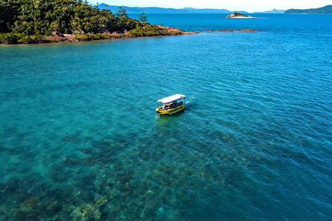 Airlie Beach Glass Bottom Boat Tour - Gold Coast Attractions 4