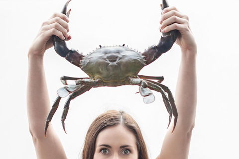 The Ultimate Gold Coast Attractions Pass - Gold Coast Attractions 0