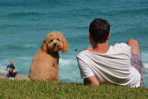 See Sydney With A Local: Private & Personalized - Gold Coast Attractions 5