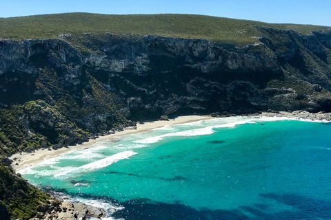 Kangaroo Island Scenic Trail Tour - Gold Coast Attractions 4