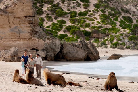 Kangaroo Island Scenic Trail Tour - Gold Coast Attractions 5