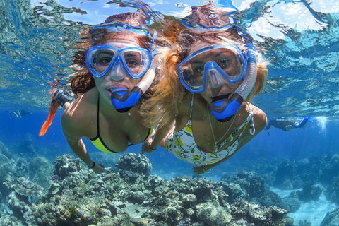 Great Barrier Reef Snorkeling And Diving Cruise From Cairns - Gold Coast Attractions 3