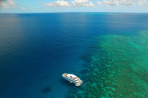 Great Barrier Reef Snorkeling And Diving Cruise From Cairns - Gold Coast Attractions 4