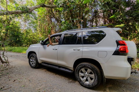 Full Day Cooktown Private Tour - Gold Coast Attractions 3