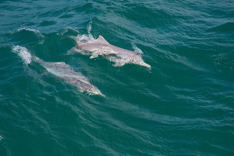 North Stradbroke Island Private Tour With Pickup - Gold Coast Attractions 0