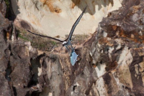 North Stradbroke Island Private Tour With Pickup - Gold Coast Attractions 2