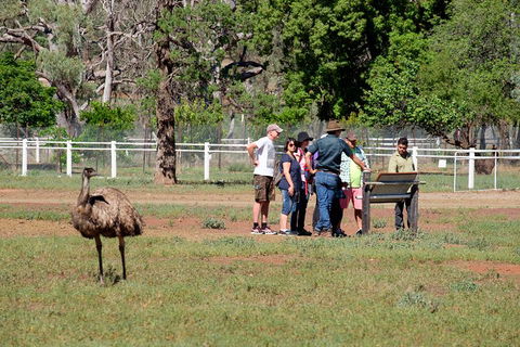 Yura Udnyu - Our Culture, Your Culture (Aboriginal Cultural Walk) - Gold Coast Attractions 1