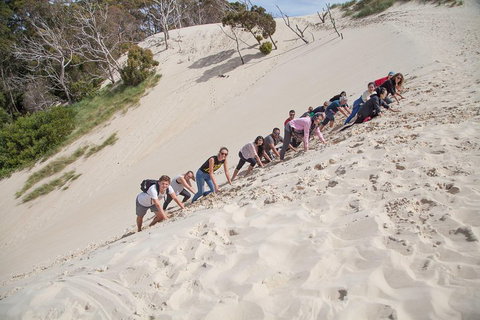 3 Day Tasmanian Wild West Coast Tour From Hobart To Launceston - Gold Coast Attractions 2