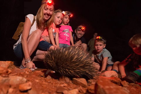 Alice Springs Desert Park Nocturnal Tour - Gold Coast Attractions 5