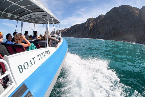 Southern Ocean Adventure From Victor Harbor - Gold Coast Attractions 0