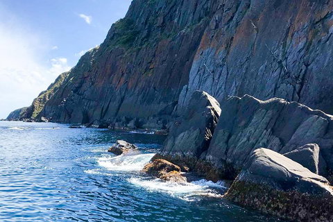 Southern Ocean Adventure From Victor Harbor - Gold Coast Attractions 3