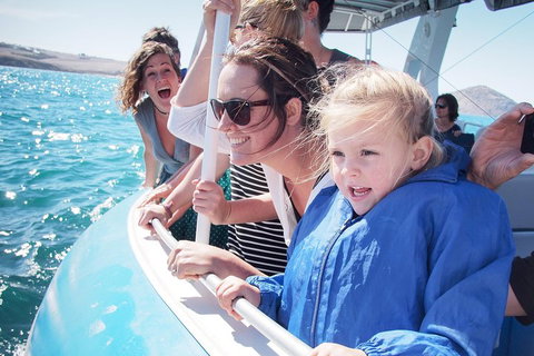 Southern Ocean Adventure From Victor Harbor - Gold Coast Attractions 4