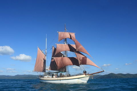 Sydney Harbour Tall Ship Whale & Sail - Whale Watching Cruise - Gold Coast Attractions 1