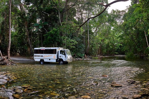 3 Day Cape Tribulation & Cooktown Tour From Cairns Or Port Douglas - Gold Coast Attractions 3