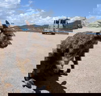 Magnetic Island Tour Maggie Comprehensive - Gold Coast Attractions